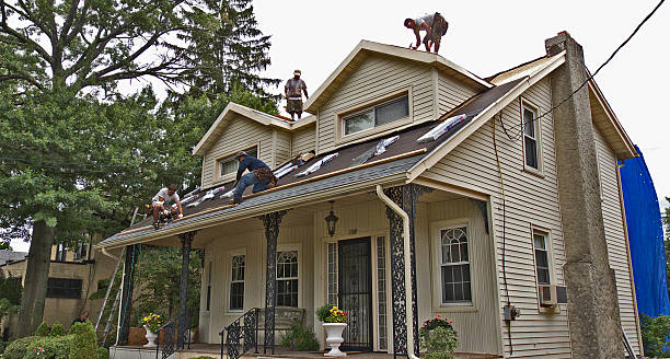 Best Residential Roofing Contractor  in Holbrook, AZ